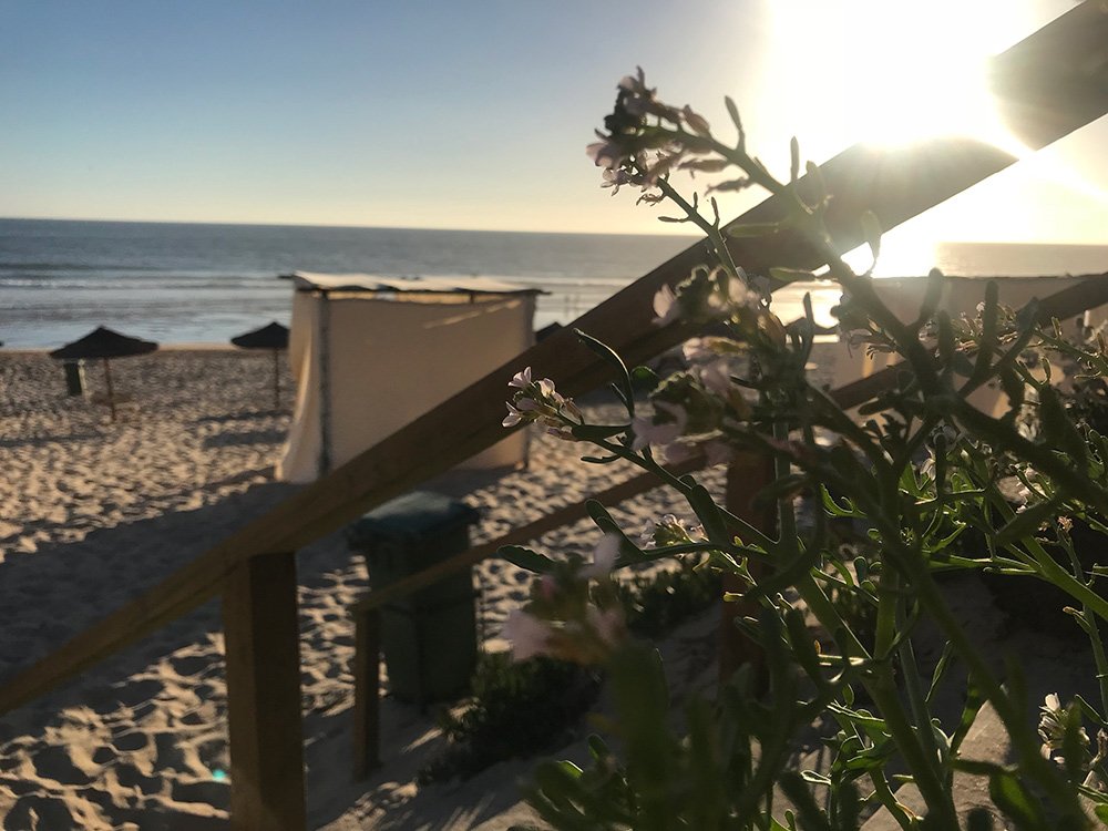 Aroeira Beach